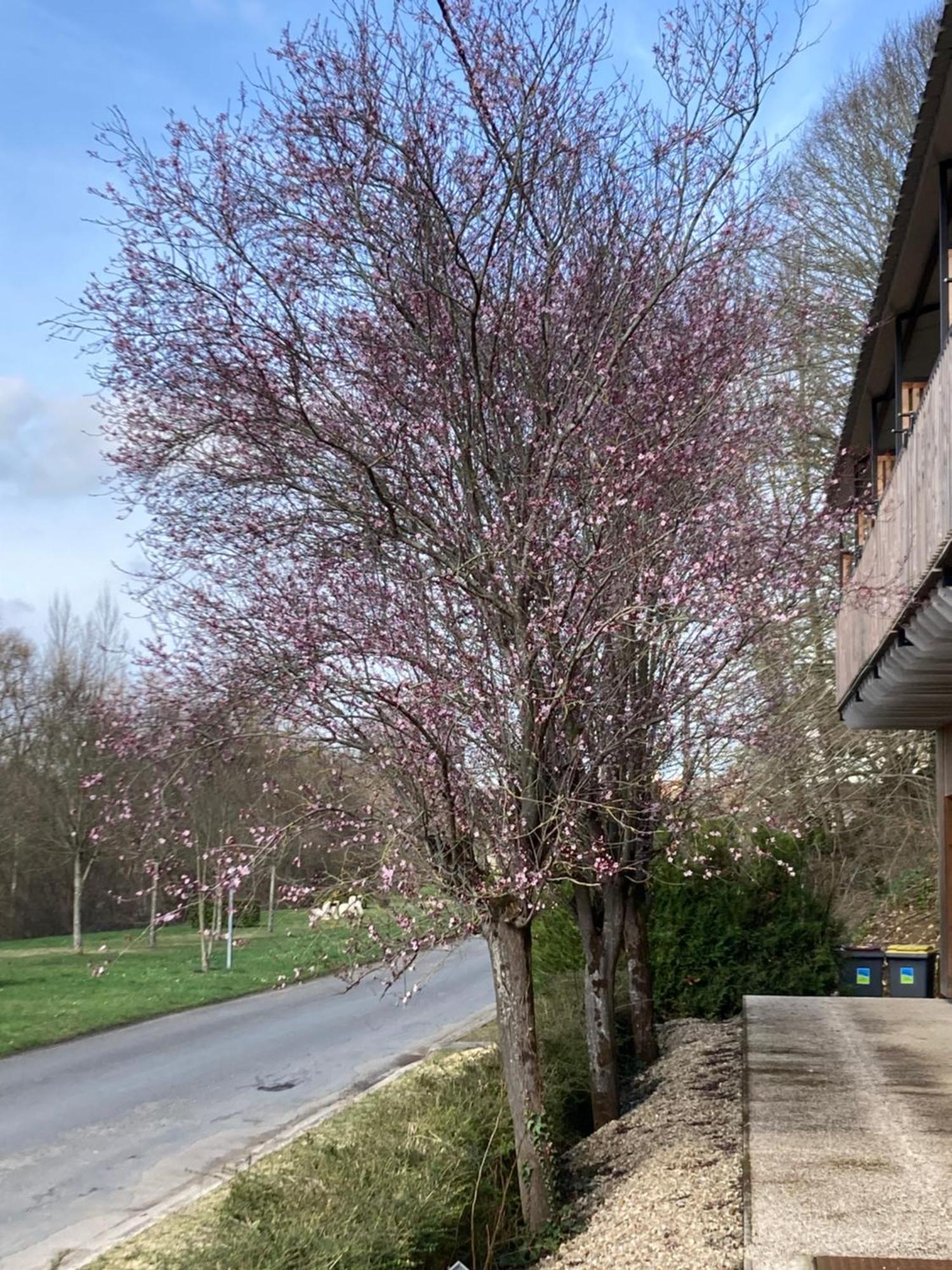Logis Hotel Les Tilleuls Bruere-Allichamps Εξωτερικό φωτογραφία